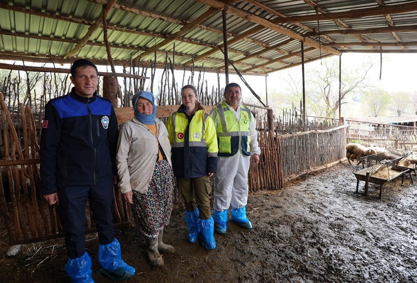 Denizli Buyuksehirin Hayvancilara Destegine Ciftciden Tam Not3