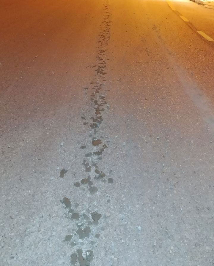 Denizlide Cevre Kirliligine Tolerans Yok1