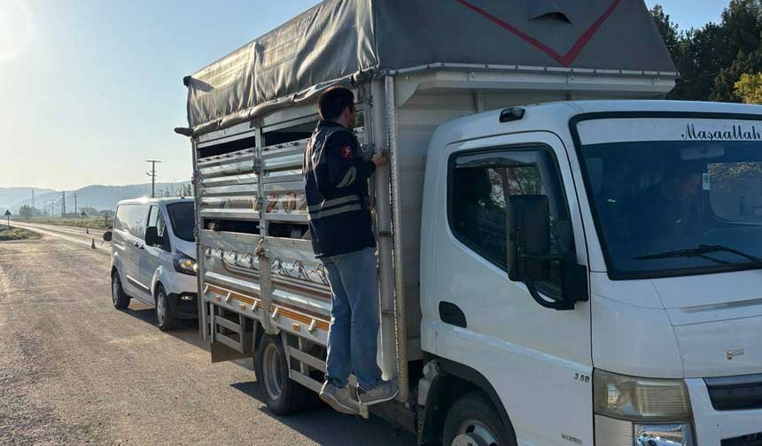 Denizlide Kurban Bayrami Oncesi Hayvan Sevkiyatina Siki Denetim 1