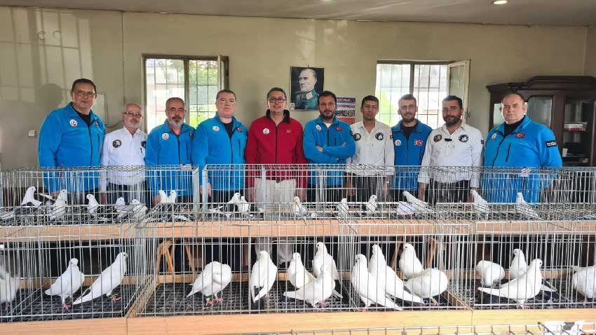 Denizlinin Nadide Guvercinleri Buyuledi Azmanlar Yarismada Goz Kamastirdi 1