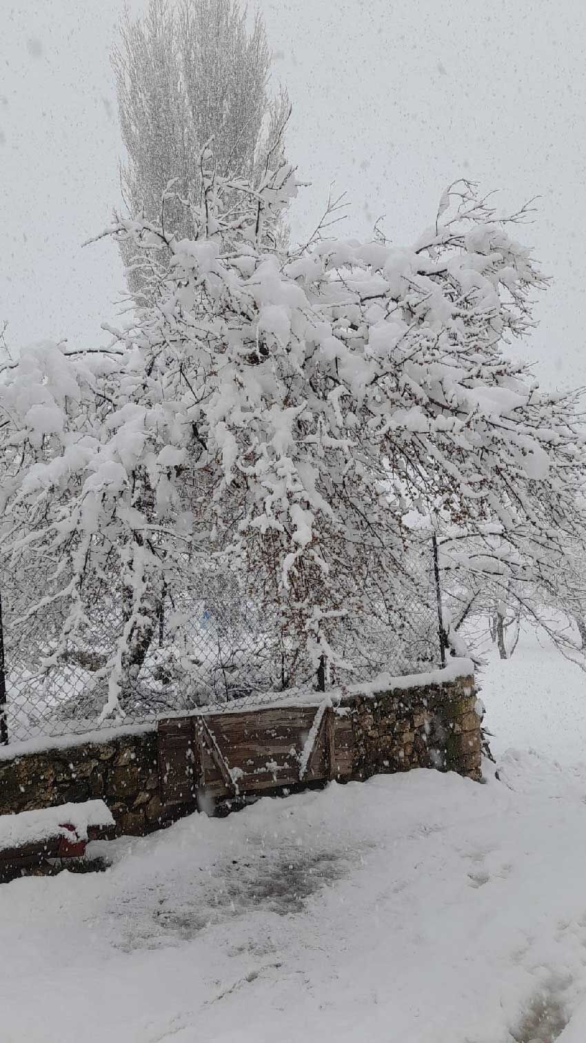 Denizlinin Yuksek Kesimlerine Baharda Kar Yagdi 3