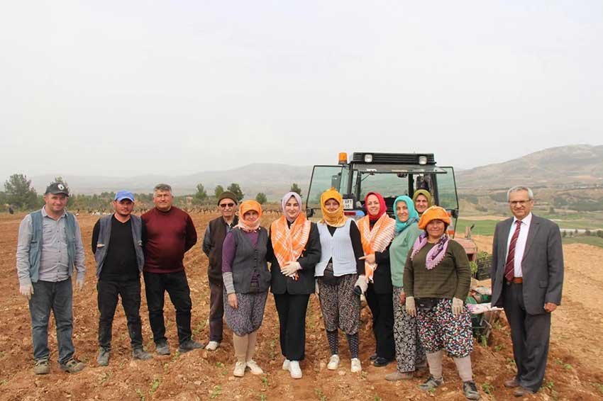 Posusunu Takan Ilce Kaymakami Ureticilerle Birlikte Kekik Dikti 1