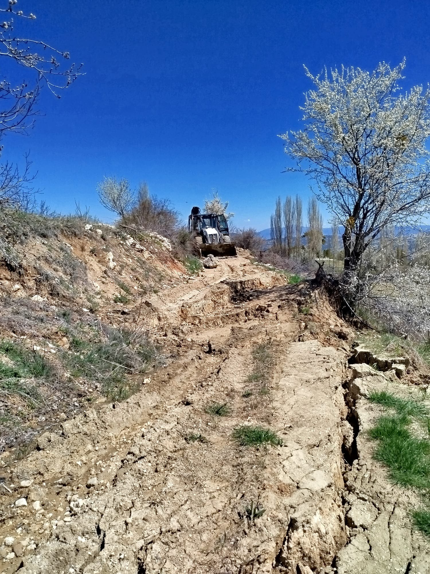 Whatsapp Image 2026 04 26 At 19.11.19