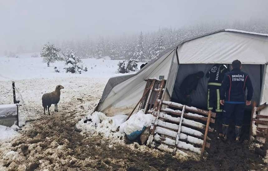 Coken Cadirda Mahsur Kalan Hayvanlari Ekipler Kurtardi 3