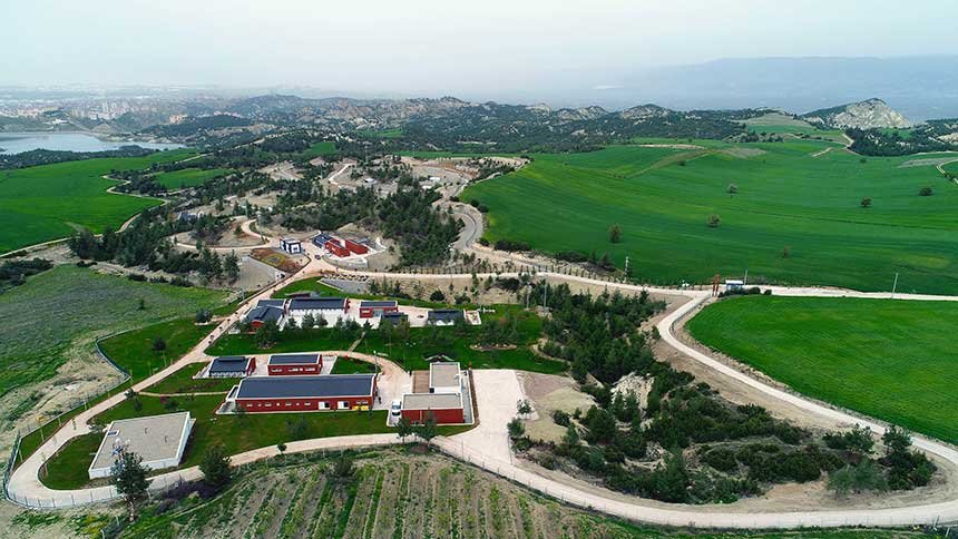 Denizli Buyuksehirde Sokak Hayvanlari Icin Kisirlastirma Ve Sahiplendirme Artisi 1