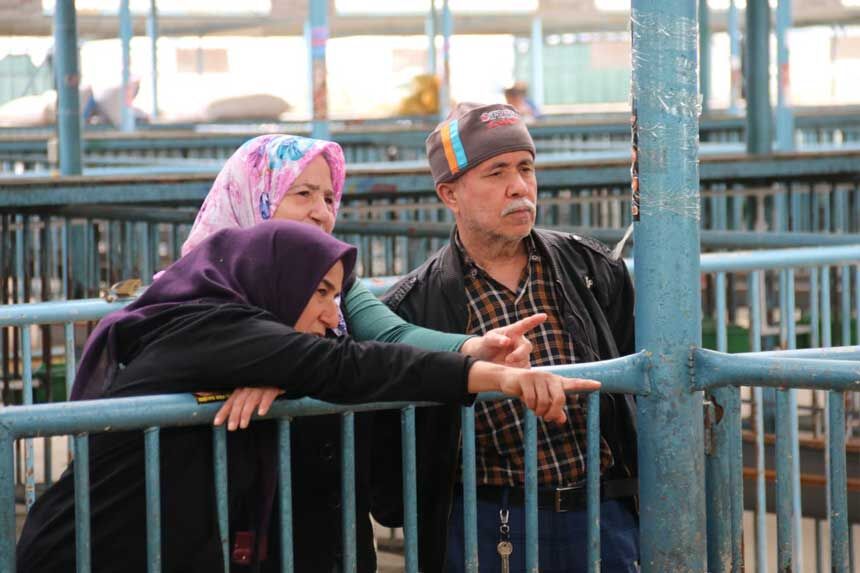 Denizli Kurban Pazari Fiyatlari3