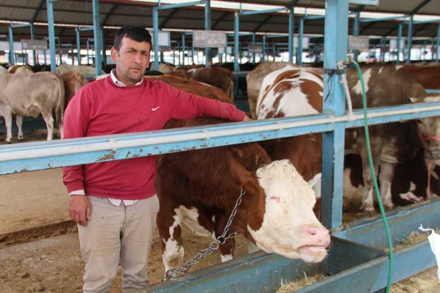 Denizli Kurban Pazari Fiyatlari5