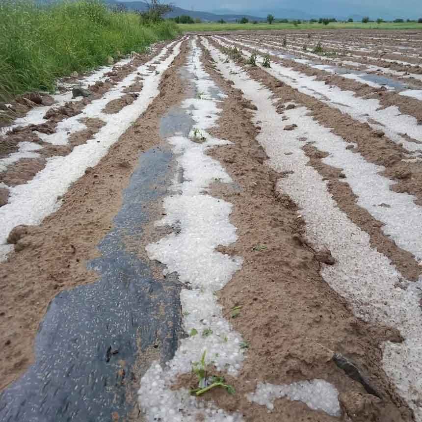 Denizlide Dolu Felaketi Tarim Arazileri Beyaza Burundu 1