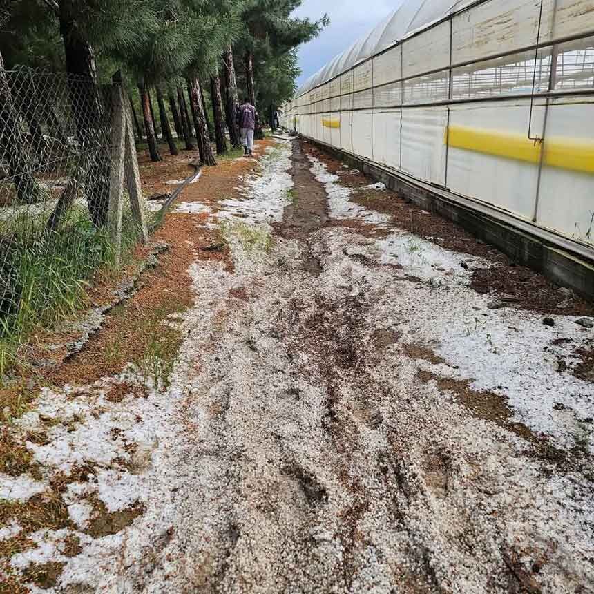 Denizlide Dolu Felaketi Tarim Arazileri Beyaza Burundu 2