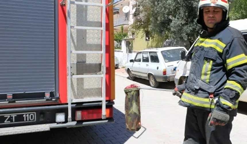 Denizlide Evin Bahcesine Giren Yilan Panigi Neden Oldu 1