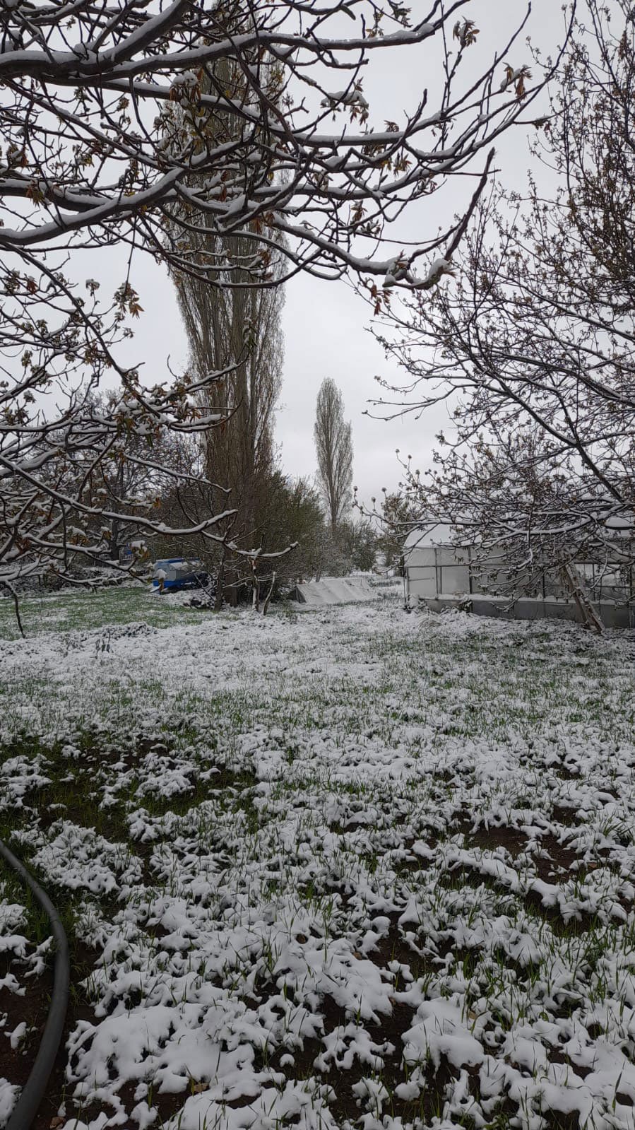 Denizlide Kar Yagisi Etkilisini Gosterdi1