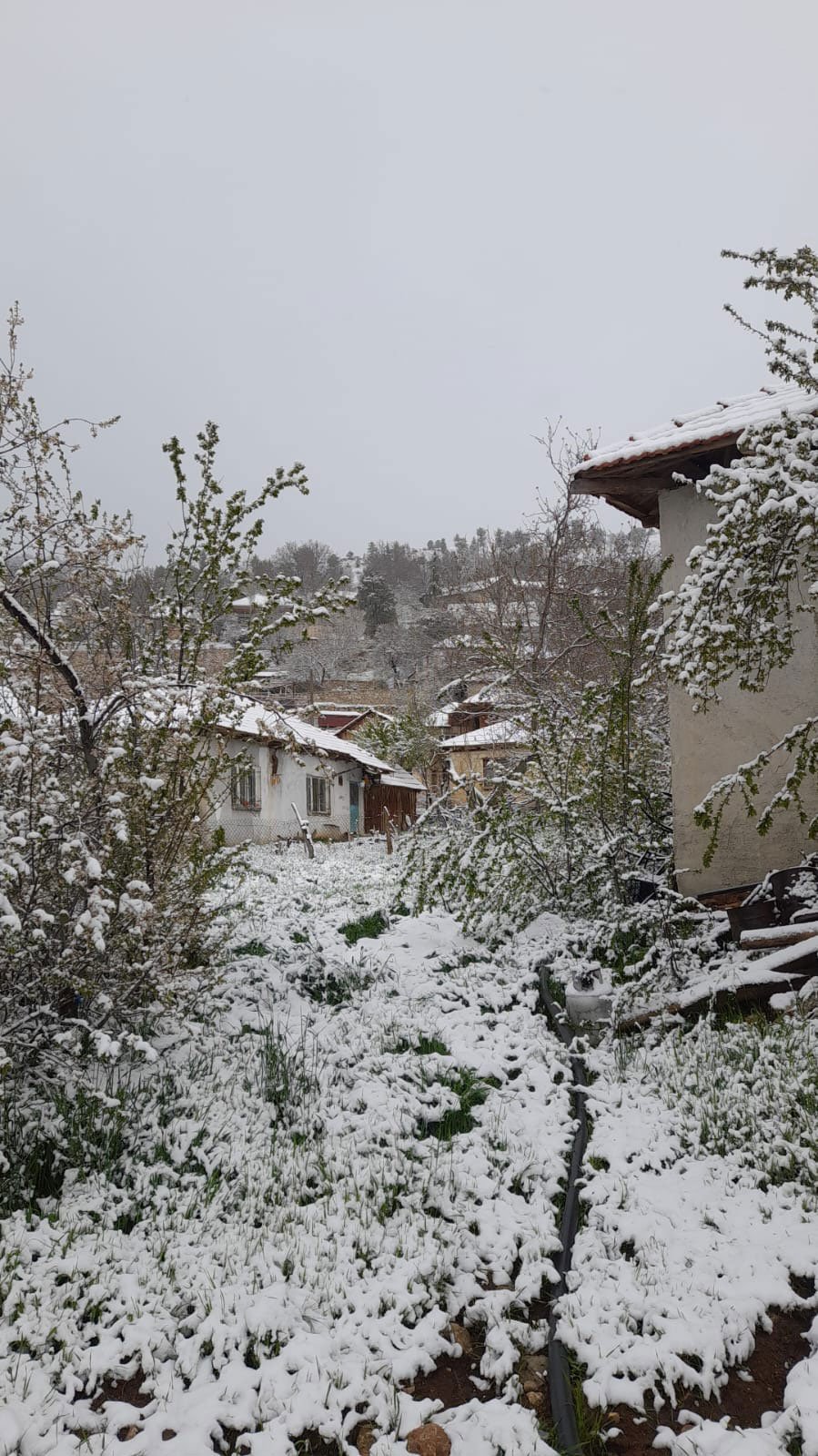 Denizlide Kar Yagisi Etkilisini Gosterdi2