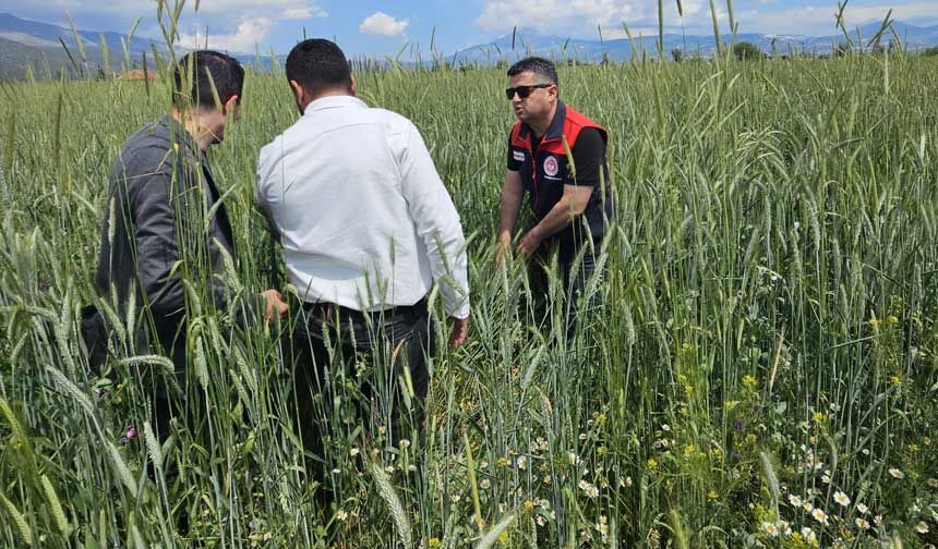 Denizlide Kuvvetli Yagis Sonrasi Tarim Arazilerinde Yogun Mesai