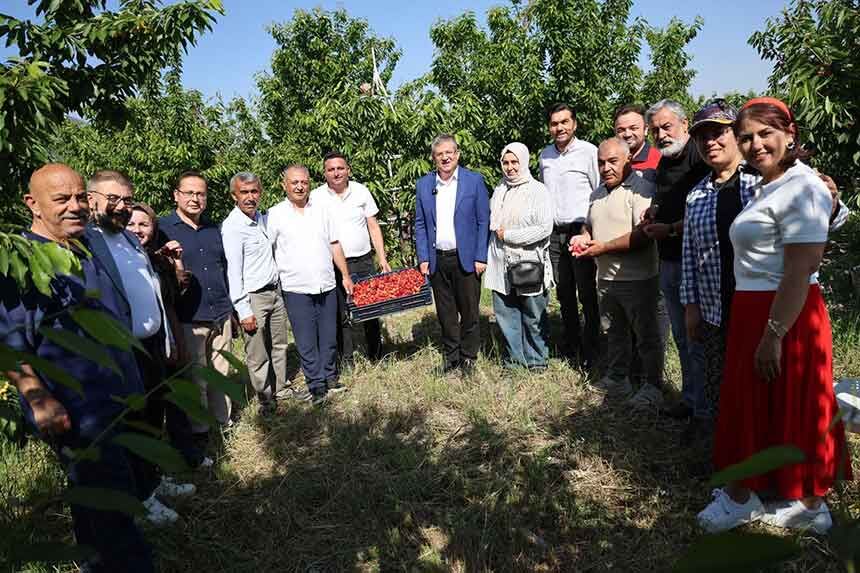 Baskan Subasioglu Kiraz Ve Kayisi Ureticileriyle Birlikte Hasat Yapti 2