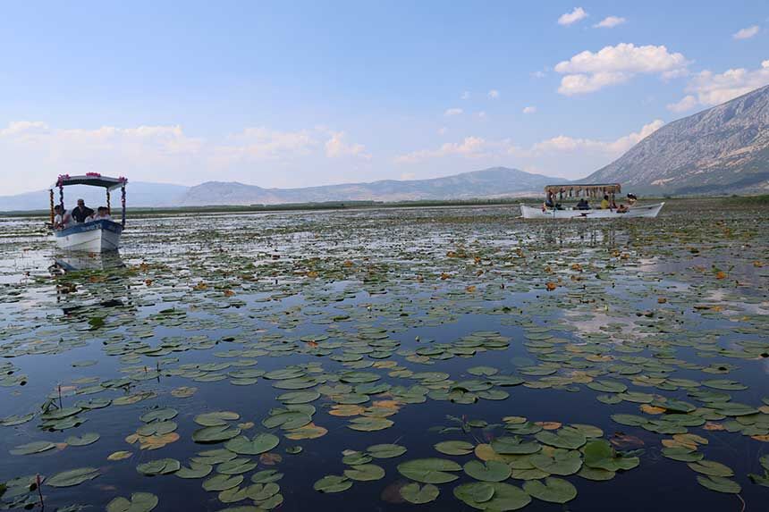 Denizlide Asiri Yagislar Niluferlerin Gorsel Solenini Geciktirdi 2