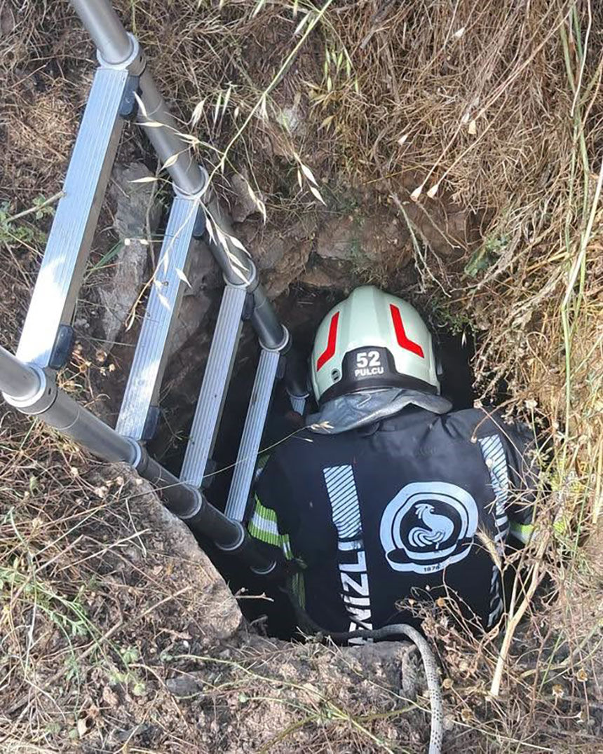 Denizlide Kuyuya Dusen Kecileri Itfaiye Kurtardi 1