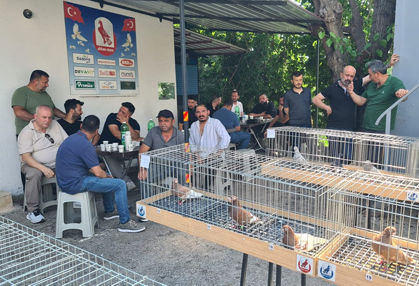 Denizlide Parmak Ucunda Yuruyen Endemik Tokur Guvercinleri Gorucuye Cikti 1