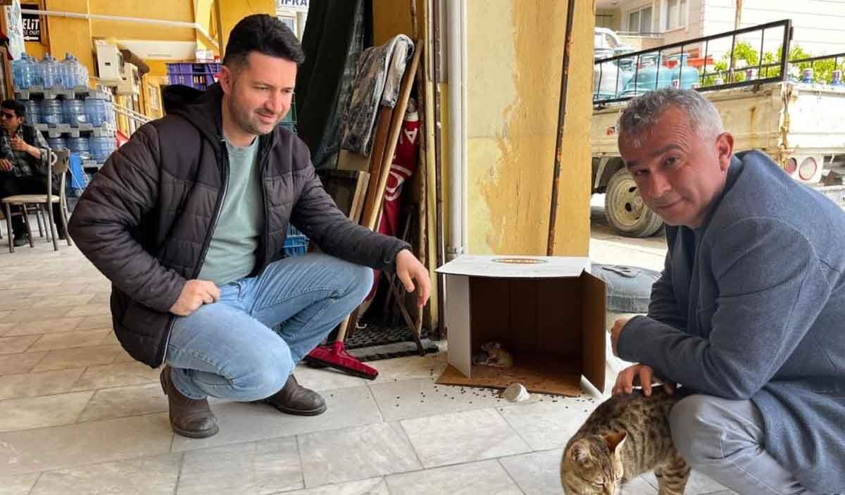 Isyerinde Dogan Kedi Yavrularina Esnaf Sahip Cikti
