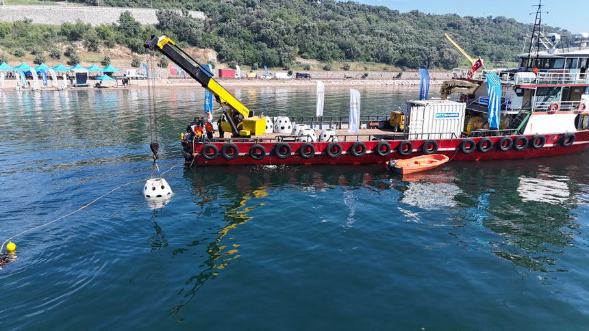 Oyak Cimentodan Dev Cevre Yatirimi Marmara Denizine 6 Bin Yavru Balik Birakildi1