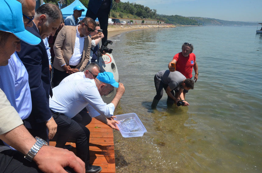 Oyak Cimentodan Dev Cevre Yatirimi Marmara Denizine 6 Bin Yavru Balik Birakildi4