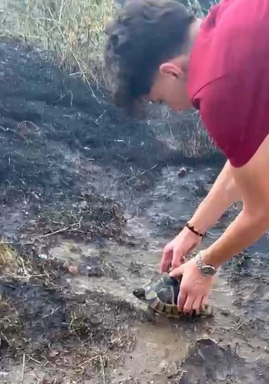 Aktepedeki Yanginda Can Pazari Alevlerin Arasindan Kurtarip Suyla Serinlettiler 2
