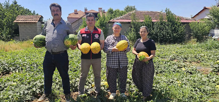 Cografi Isaretli Acipayam Kavununda Ilk Hasat Yapildi 1
