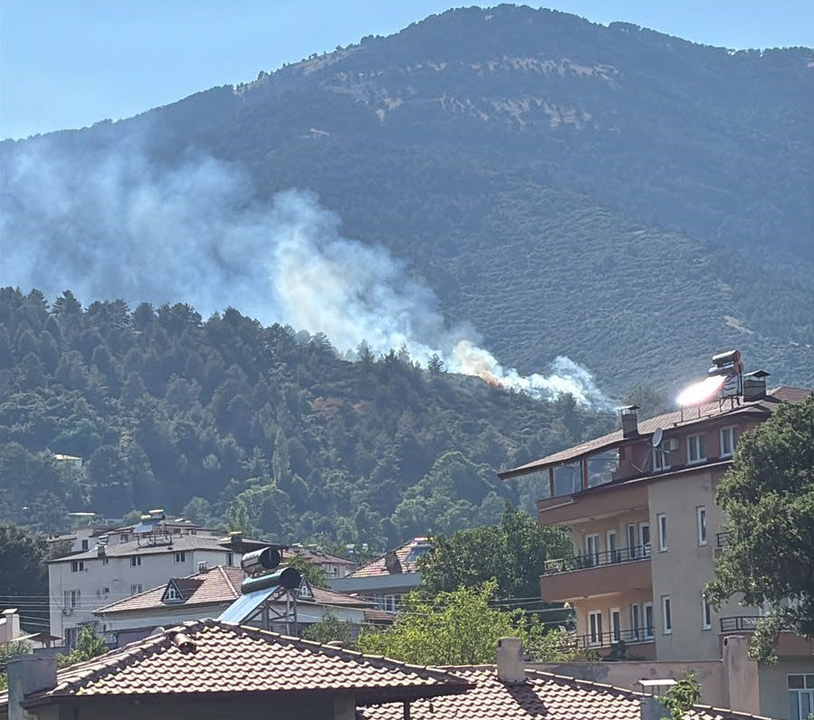 Denizli Baskarci Orman Yangini 1