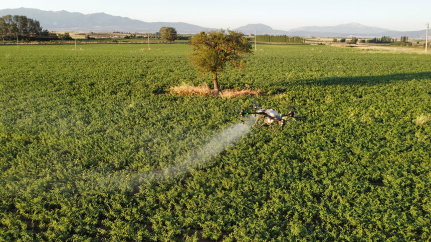 Denizli Tavas Borsa 20 Nohut Drone2