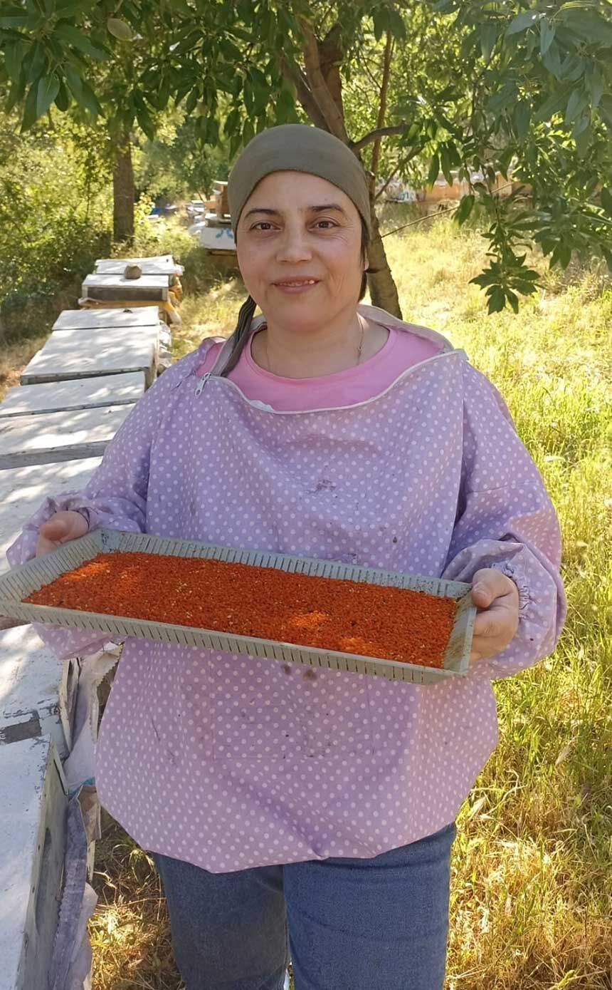 Denizlide Aricilarin Zorlu Polen Mesaisi Basladi 1