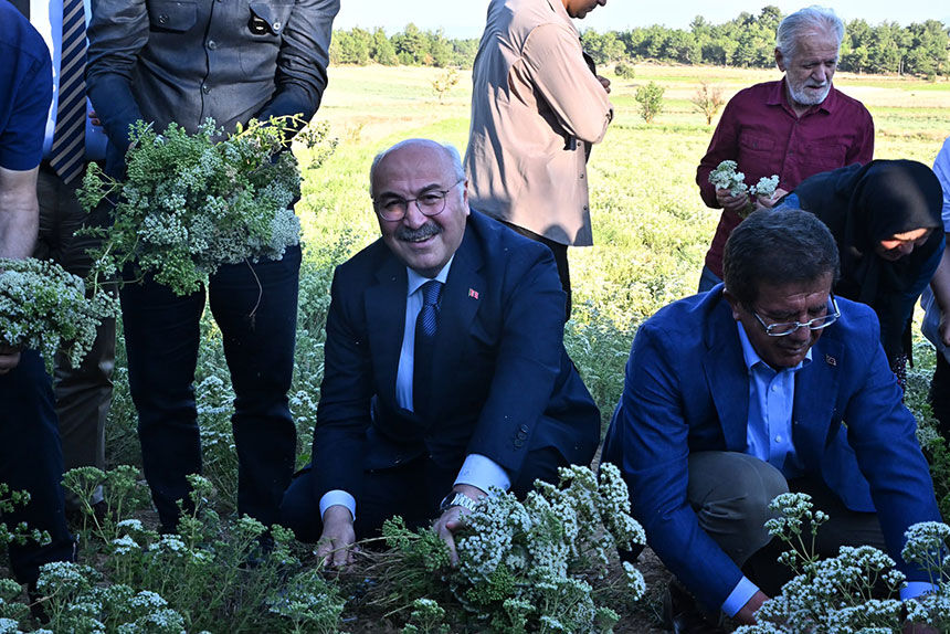 Pamukkale Kurtlucada Protokol Orakla Tarlaya Indi 1