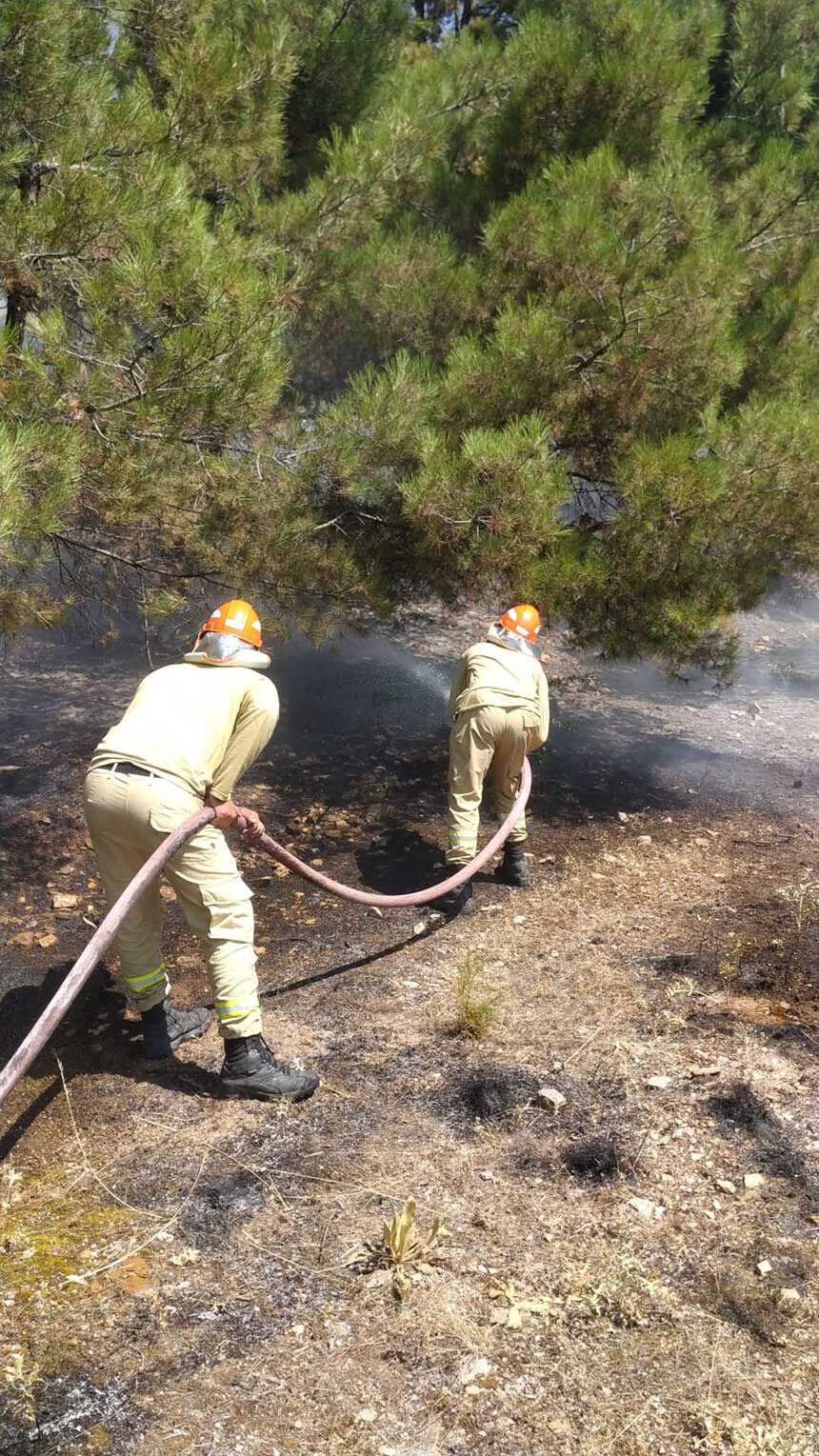 Denizli Bekillide Korkutan Orman Yangini Orman Bolge Ekiplerinden Hizli Mudahale 1