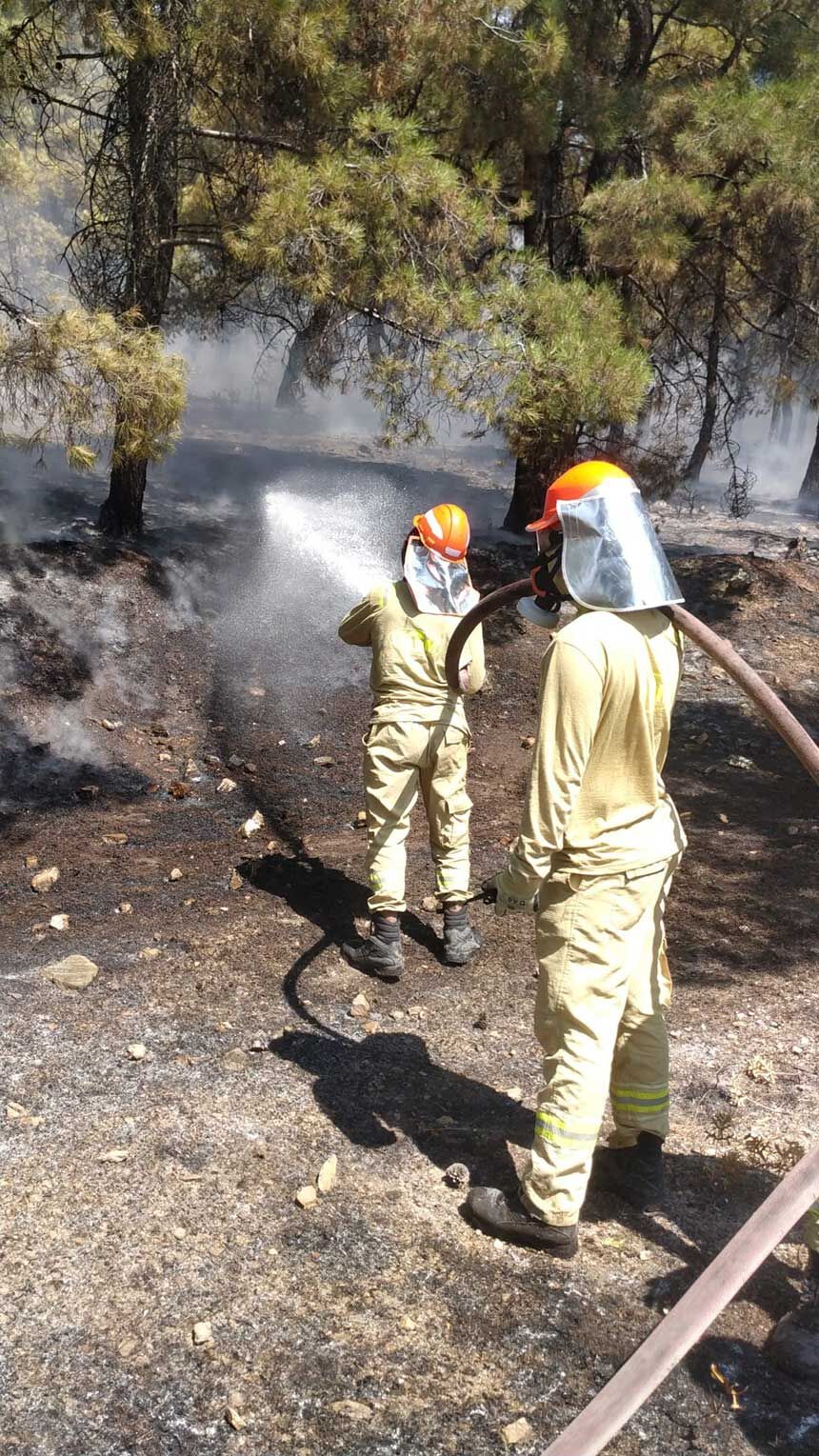Denizli Bekillide Korkutan Orman Yangini Orman Bolge Ekiplerinden Hizli Mudahale 2