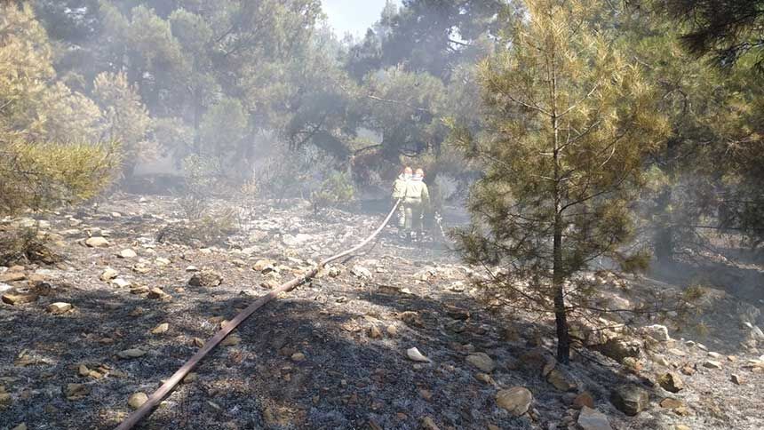 Denizli Bekillide Korkutan Orman Yangini Orman Bolge Ekiplerinden Hizli Mudahale 3