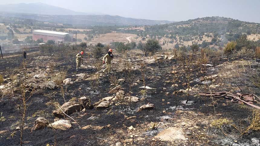 Denizli Bekillide Korkutan Orman Yangini Orman Bolge Ekiplerinden Hizli Mudahale 4