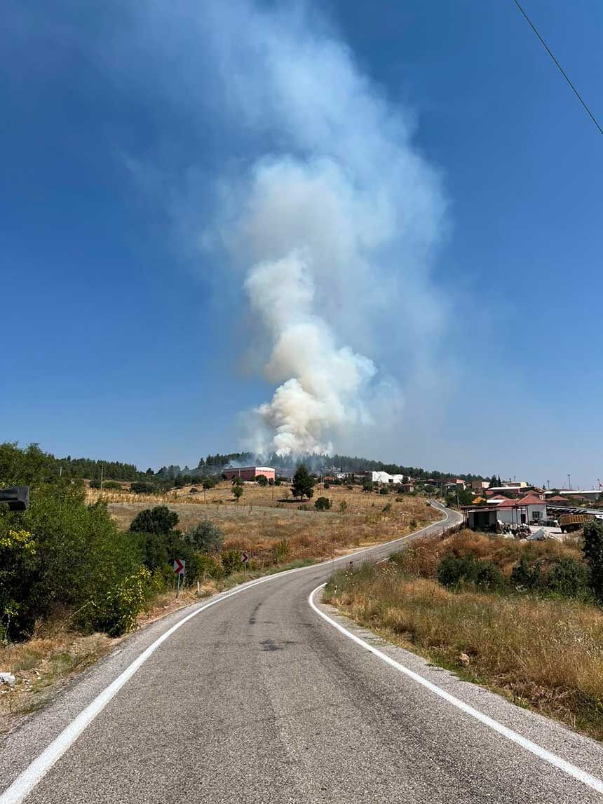 Denizli Bekillide Korkutan Orman Yangini Orman Bolge Ekiplerinden Hizli Mudahale 5