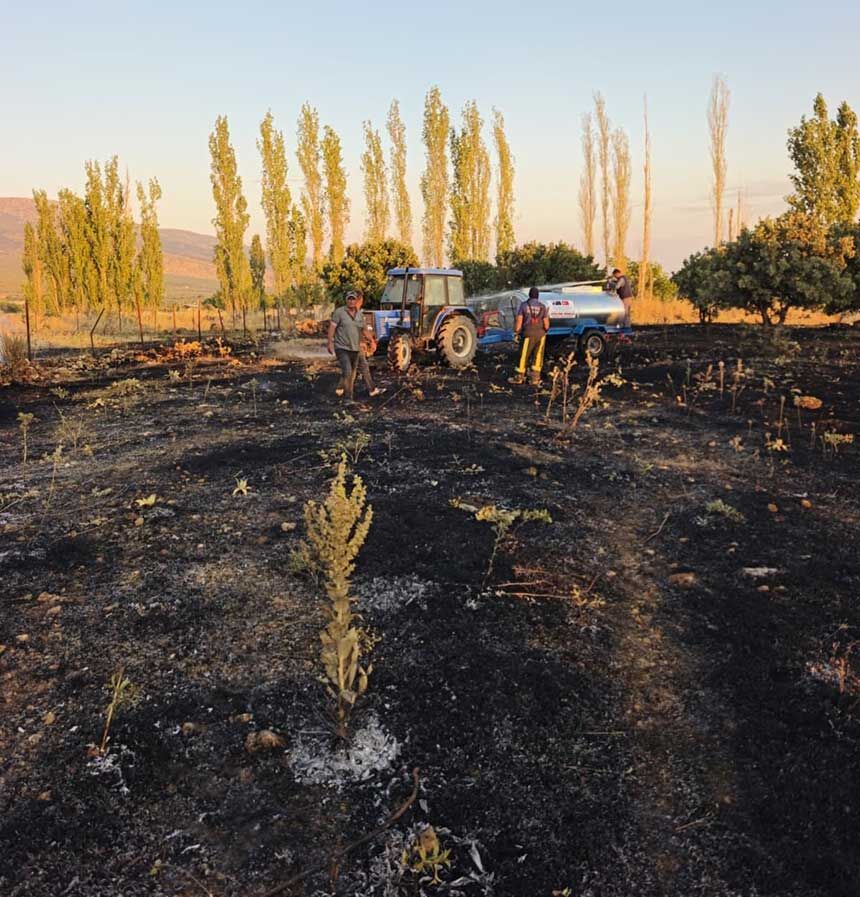 Denizli Civril Gurpinarda Otluk Alan Yangini Vatandas Ve Itfaiye El Ele Verdi 1