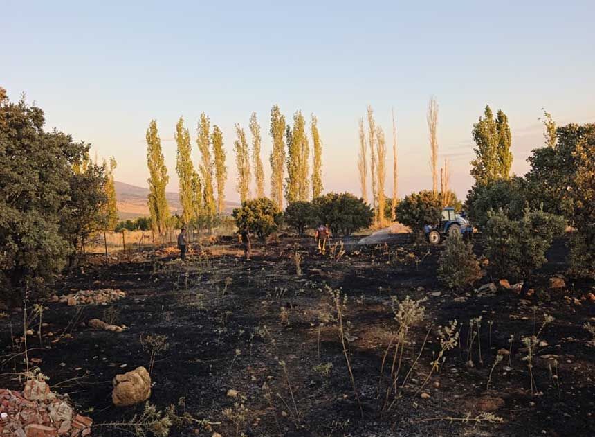 Denizli Civril Gurpinarda Otluk Alan Yangini Vatandas Ve Itfaiye El Ele Verdi 2