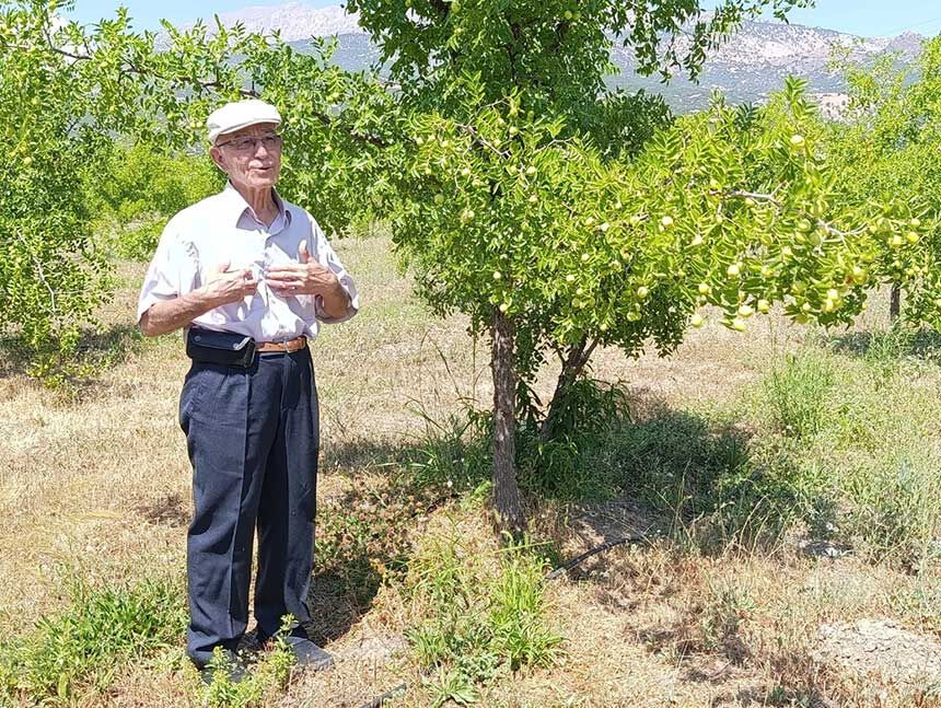 Denizlide Olumsuzluk Meyvesinin Hasadi Basliyor 1