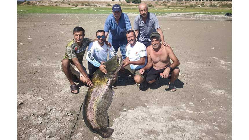 Denizli Recep Yazicioglu Barajinda Oltaya Takilan Dev Yayin Baliklari Gorenleri Sasirtti 2