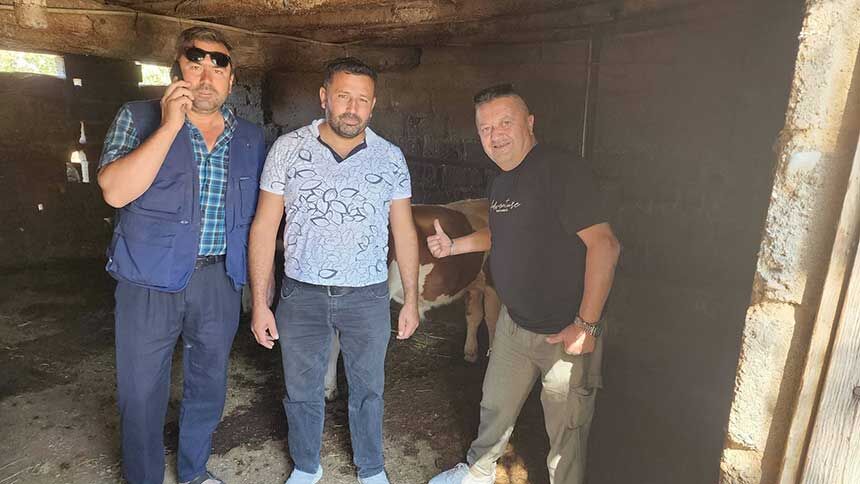 Kayip Buzagilar Icin Mahalleli Seferber Oldu 1
