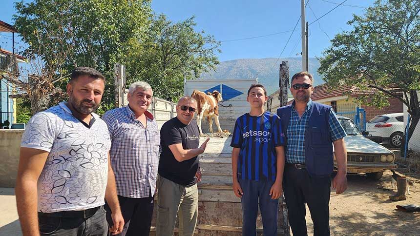 Kayip Buzagilar Icin Mahalleli Seferber Oldu 2