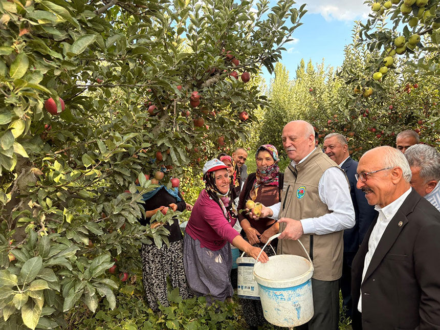Semsi Bayraktar Denizlide Elma Hasadi Yapti 3