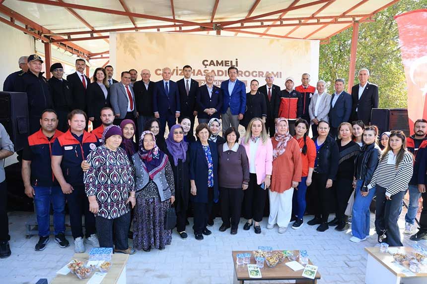 Camelide Ceviz Hasadi Senligi Coskuyla Gerceklestirildi 4
