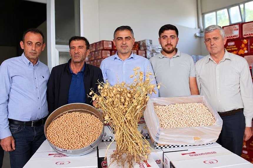 Dtbnin Gelistirdigi Borsa 20 Ve Ibrahim 20 Nohut Cesitleri Leblebiye Donustu 4